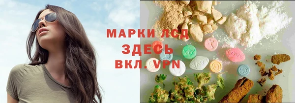 стаф Аркадак