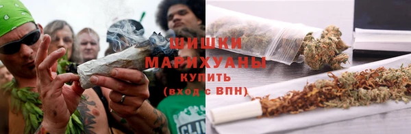 стаф Аркадак