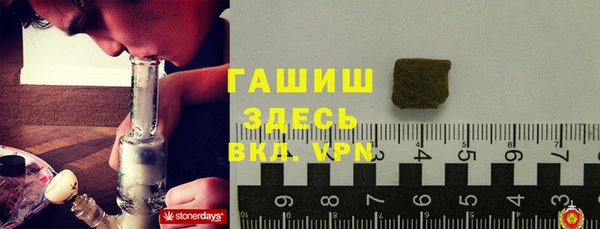 стаф Аркадак