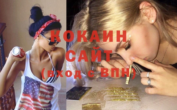 стаф Аркадак