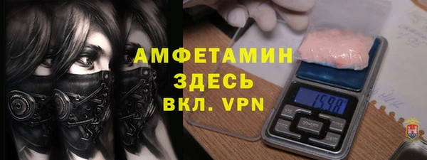 стаф Аркадак