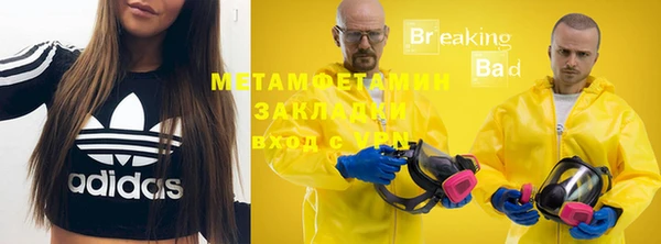 стаф Аркадак
