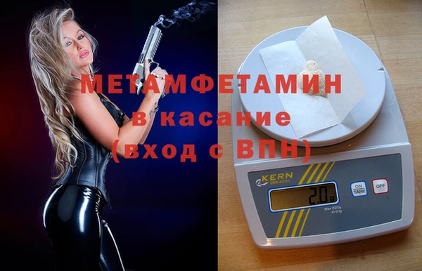 стаф Аркадак