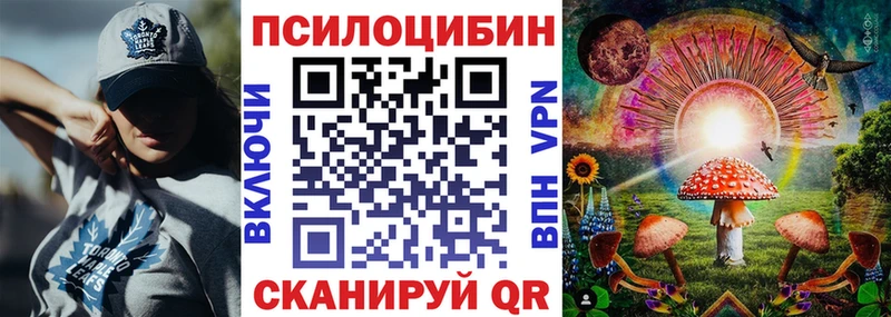 дарк нет Telegram  omg   Псилоцибиновые грибы прущие грибы  Старая Русса  купить  сайты 